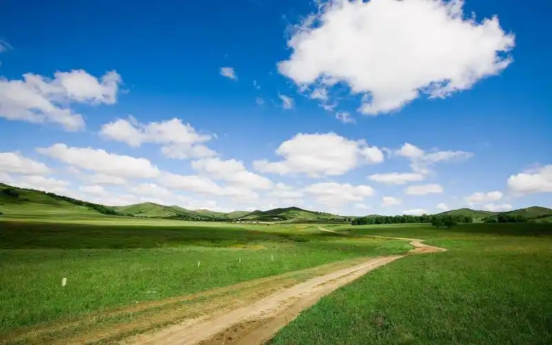 美丽的草原风景电脑桌面壁纸(3)