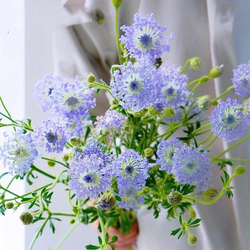 翠珠素雅桌花小清新鲜花云南基地直发花束居家办公装饰