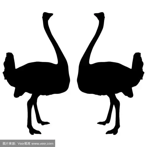 鸵鸟黑色剪影