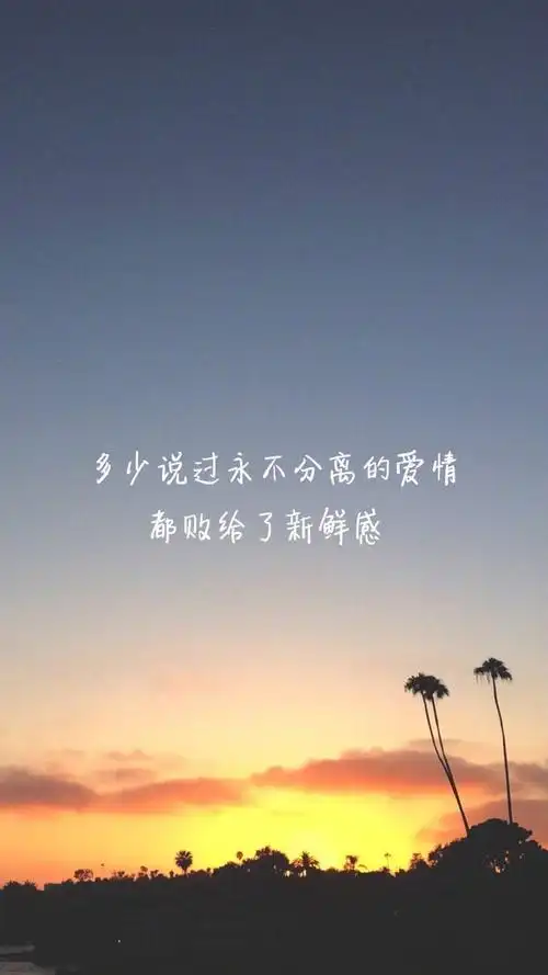 唯美意境文字语录图片手机壁纸