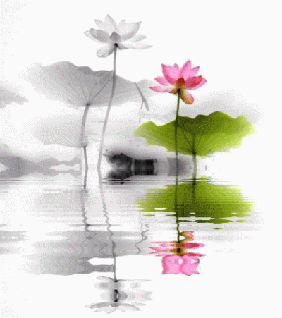 水墨清花,何惧一时芳华?