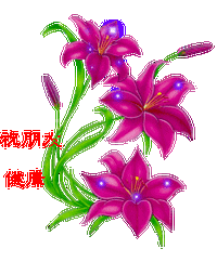 211_255gif 动态图 动图