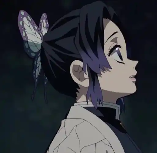 力量与速度方面蝴蝶忍的力量较弱,在"九柱腕力排行