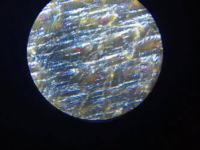 大家帮我看看有人说这个是犀牛角