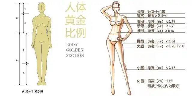 身材比例好