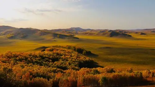 丛林围绕着草甸,溪流象血脉一般穿流在这丛林草原之中,生生相依,互