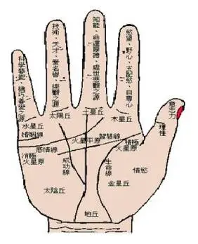 因为这些地方的痣比其他地方的痣变恶性黑色素瘤的机会较大五手心有痣