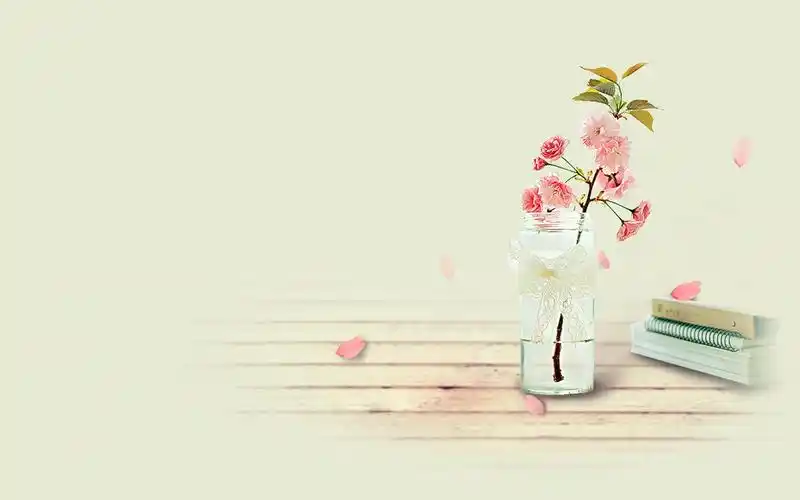 清新养眼的静物图片非常适合做壁纸哦~~给你的桌面换上干净护眼的