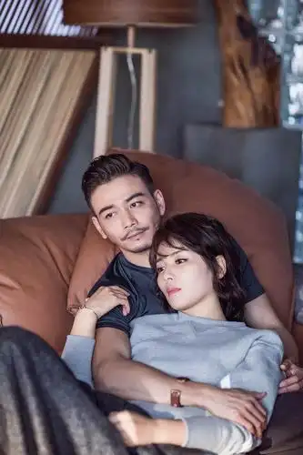 刘涛成百亿点击女王 收视率爆表