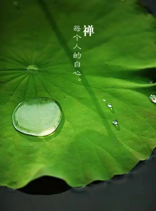 640_865竖版 竖屏