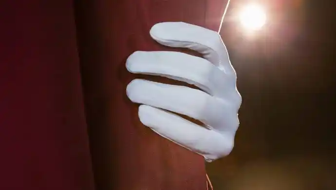 67市长的"白手套"打理千万,这些大老虎都动用代理人!