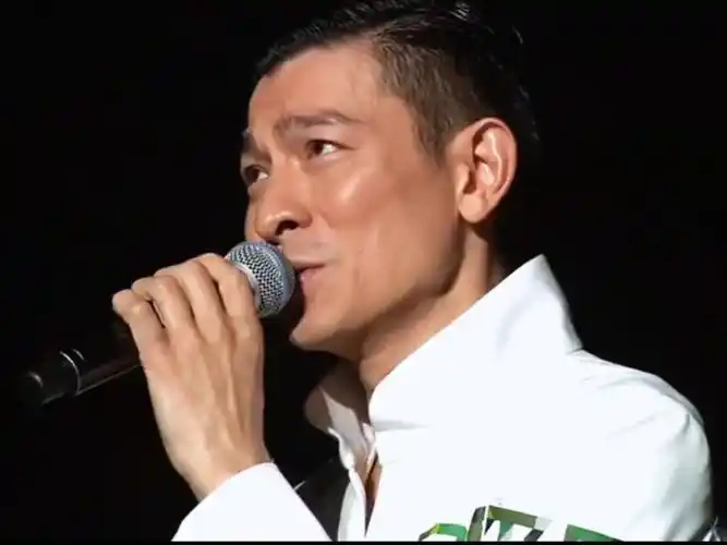 刘德华热门音乐演唱会现场音乐分享