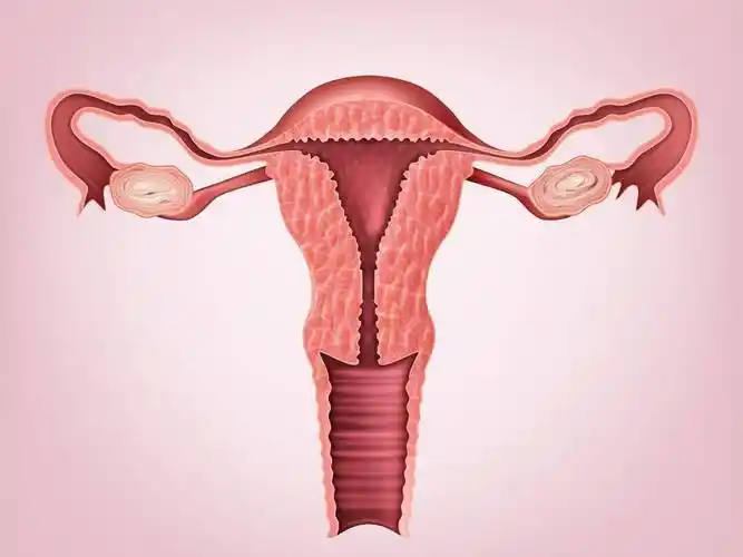 女人双阴道双子宫,与正常女性有何不同?生出来的都是双胞胎吗?