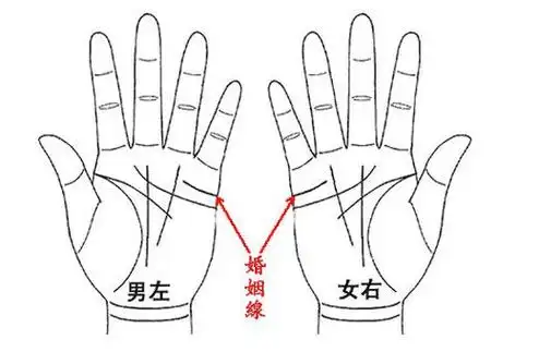 婚姻线.jpg