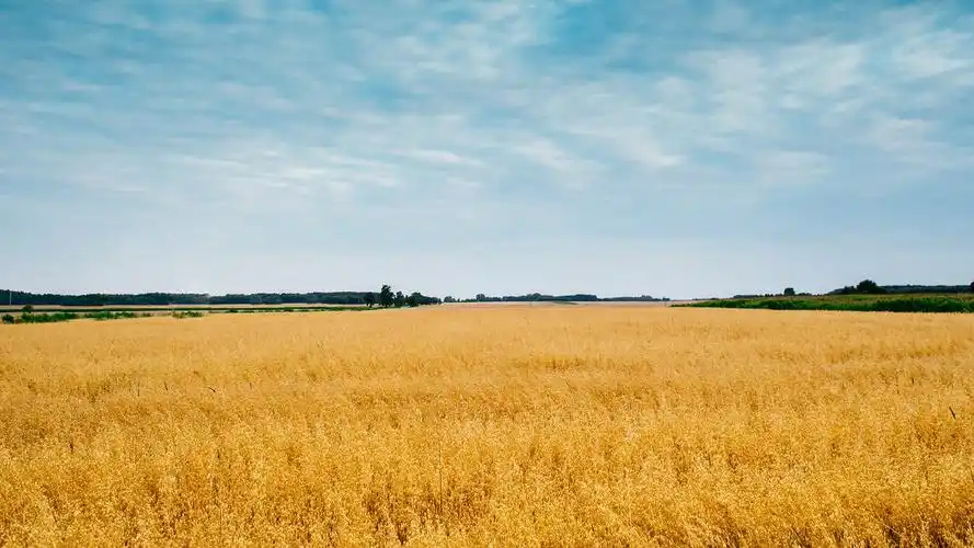 各式各样的风景高清桌面壁纸高清大图预览1920x1080_风景壁纸下载_美