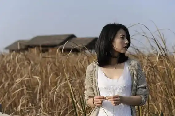 为什么说高圆圆是炮架子天涯