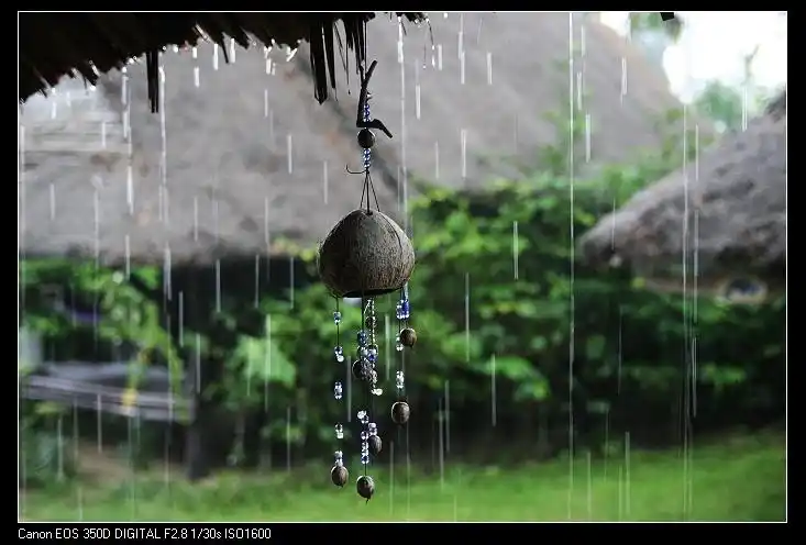 ctps.cn-- 雨中风铃2 zy64116 雨中