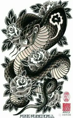 蛇手稿纹身大集合150张1