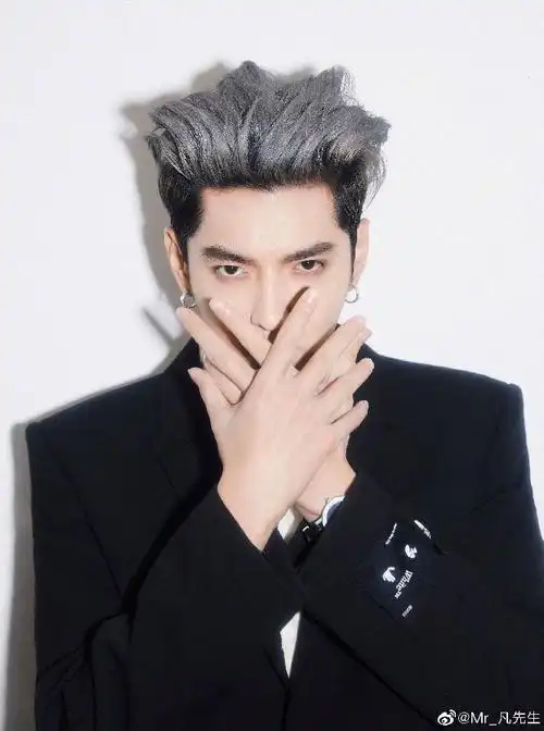 加拿大籍艺人吴亦凡彻底完了,今天被正式纳入《污点艺人数据库》