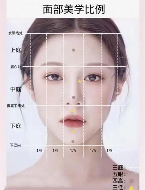 而作为被主流认可的"三庭五眼"审美标准,就是再合适不过的参考系~②