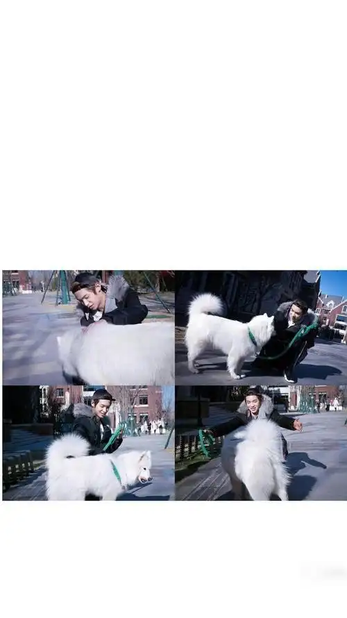 10月3日 9:28   关注  黄明昊justin 评论 收藏