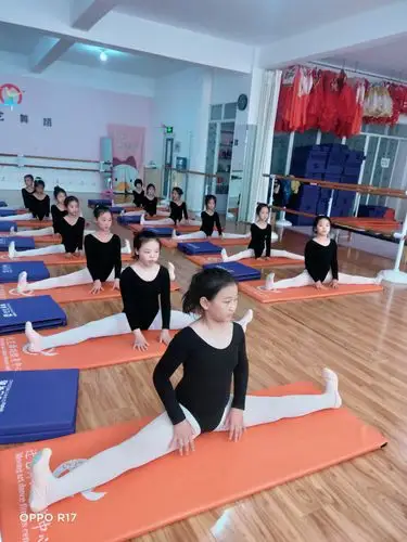 迁艺舞蹈课上练功图片视频