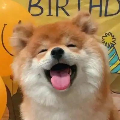 可爱狗狗头像_微信头像_我要个性网