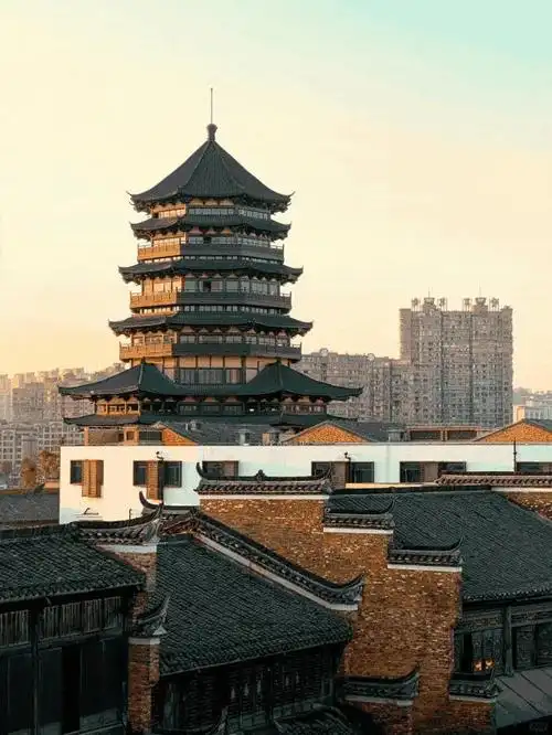 金螳螂丨"生长的建筑",城市更新语境下的高质量"城"长__财经头条