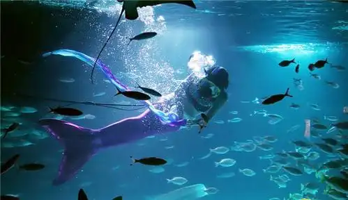 日本水族馆现"美人鱼" 水中畅游光影绚烂