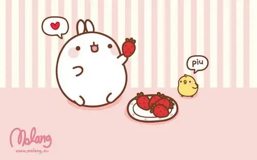 韩国可爱molang兔电脑壁纸