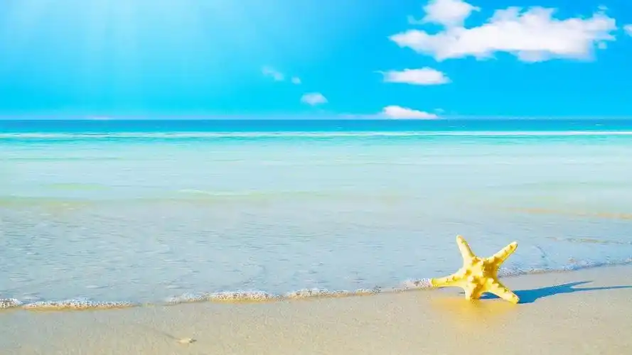 大海的背景图 大海的背景图片唯美高清