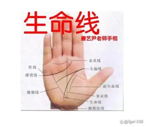 生命线短也预示着命运的变动,那么手相生命线短会短命吗?