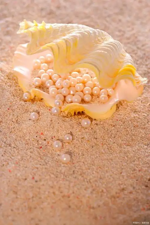 解密珍珠:从海底到珠宝店,一颗小小的球体的传奇之旅