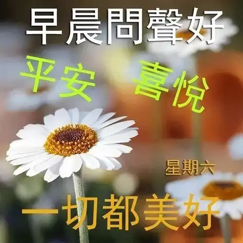 最新的周六早上好问候语图片带字带祝福语 温馨的早安励志经典语录