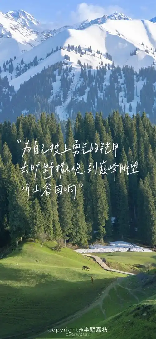 手机壁纸##手写壁纸