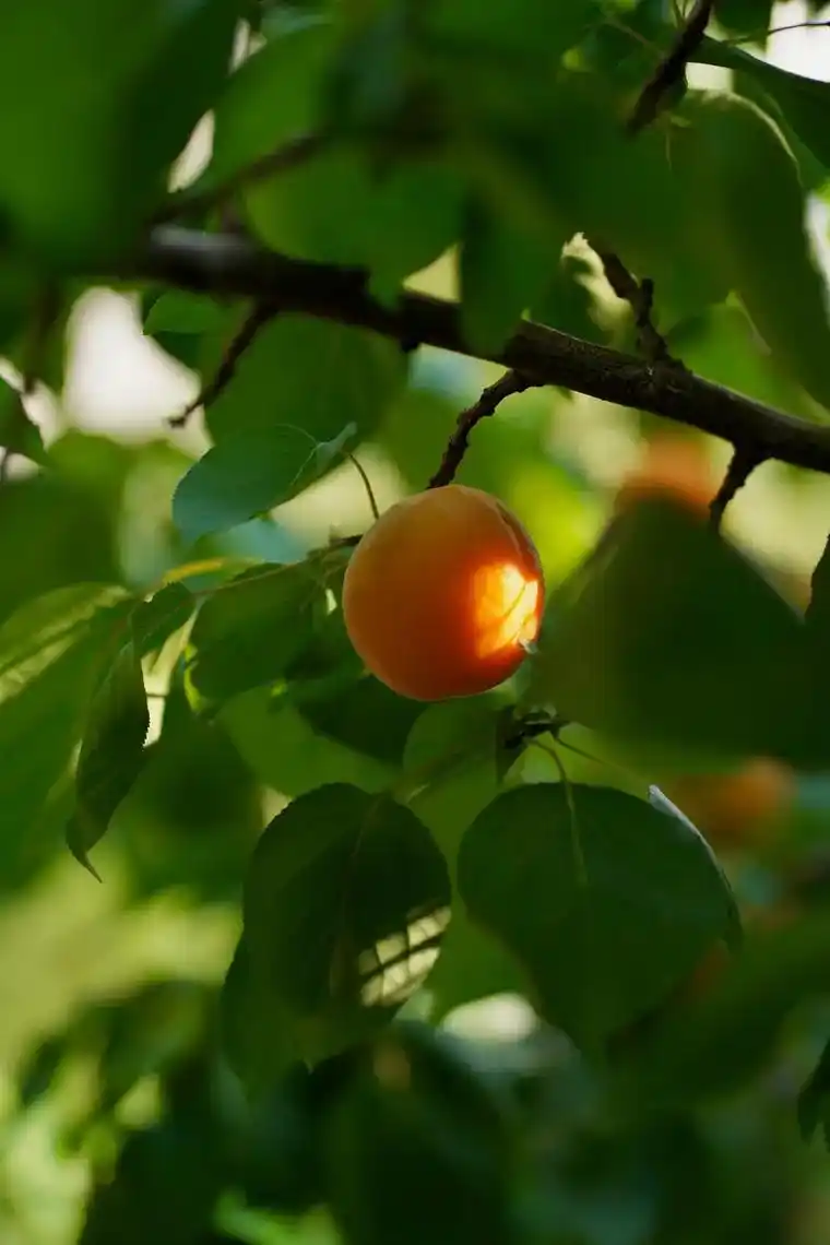 不同的夏天.没有你在的夏天,可能是不完整的夏天#摄影#治愈系 - 抖音