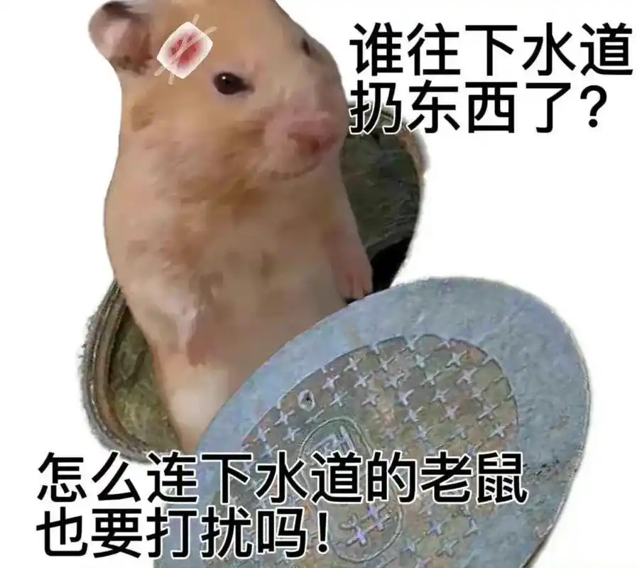 下水道的老鼠99表情包!你会爱的95 吱吱吱吱吱吱吱94#发 - 抖音