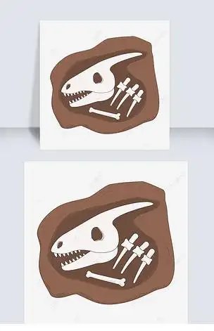 卡通恐龙骨头化石剪贴画