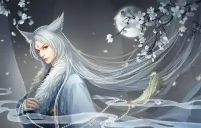 兽耳 狐妖 半人化 银发 古风 手绘 插画