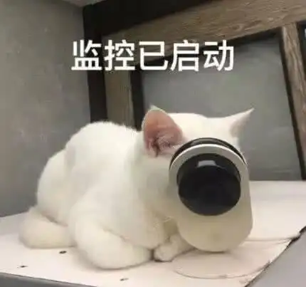 最新潮流限量版眼镜,我就是酷哥(钉钉眼镜)表情包 - 表情图