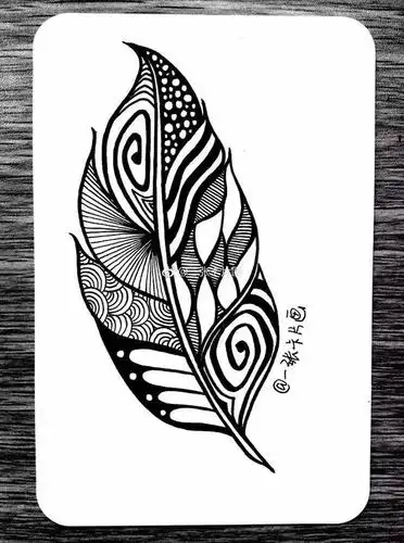 针管笔画 | 9根羽毛,带你画好线条