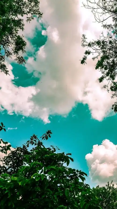 清晨美好的心情句子句句经典治愈心灵