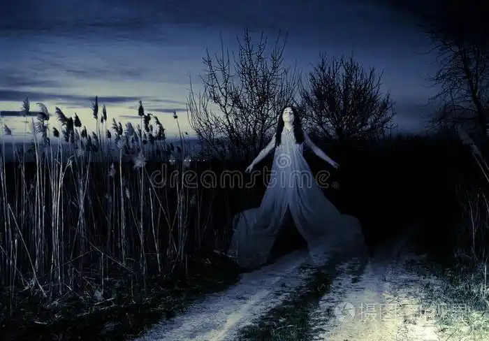 鬼魂在路上飞来飞去