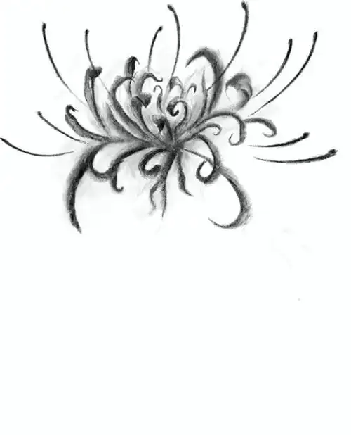 彼岸花纹身手稿