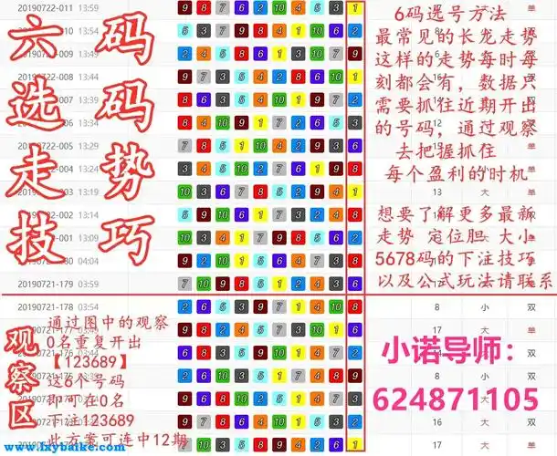 2020最新高手揭秘《幸运飞挺=冠军五码走势技巧规律》个人实战经验