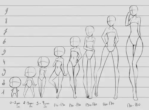 怎么练好动漫人物比例?最好临摹什么书?