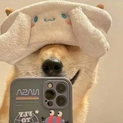 柴犬头像_微信头像_我要个性网