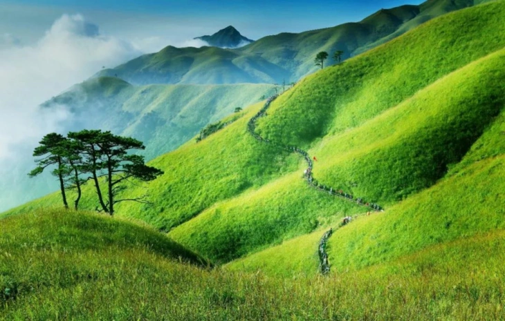 7-9号 人间仙境武功山 穿越高山草甸 看最美云海日出