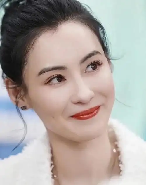 苏王:张柏芝的美该怎么分析?