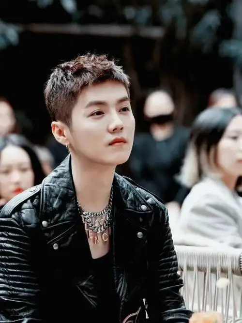 鹿晗短发造型男士短发参考明星造型发色